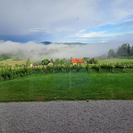 Pocitniska Hisa Parkfield Dragovan Metlika Esterno foto