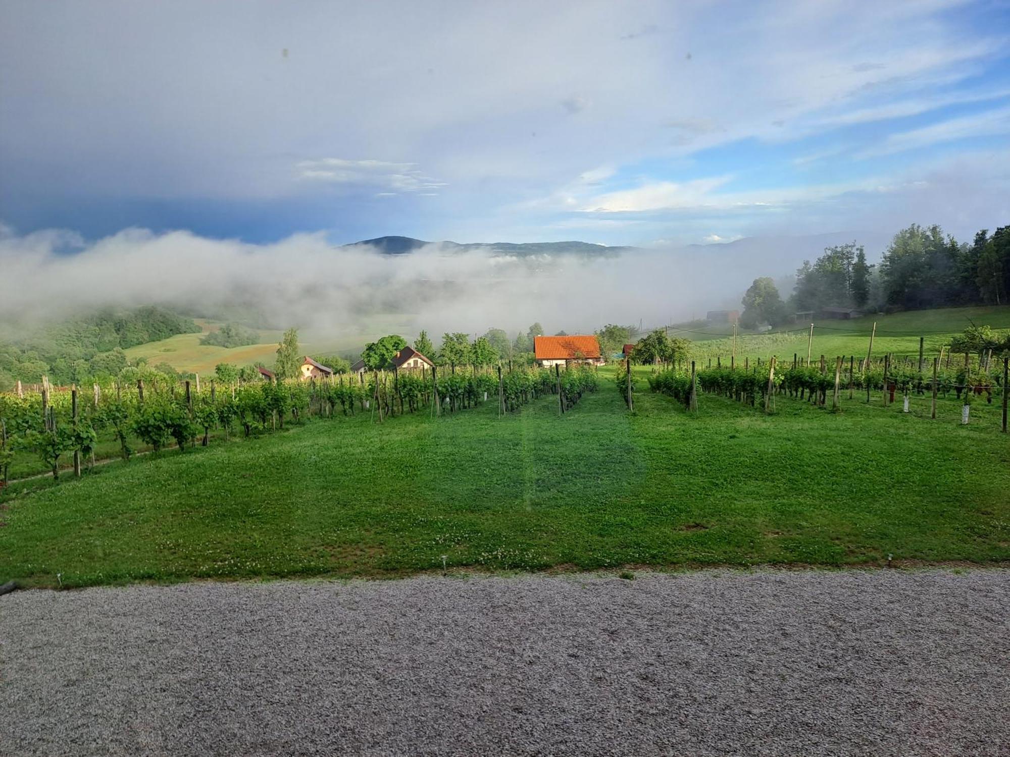 Pocitniska Hisa Parkfield Dragovan Metlika Esterno foto