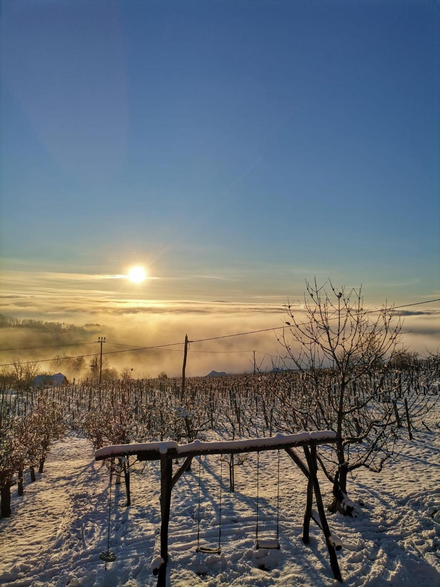 Pocitniska Hisa Parkfield Dragovan Metlika Esterno foto